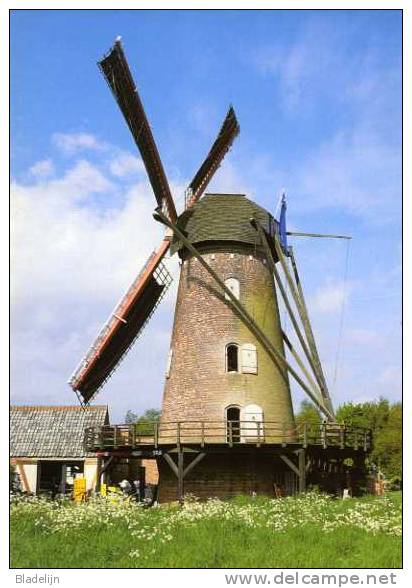 BERENDRECHT (Antw.) - Molen/moulin - De Gerestaureerde Buitenmolen Opgezeild In Werking Op Een Mooie Lentedag In 2004. - Antwerpen