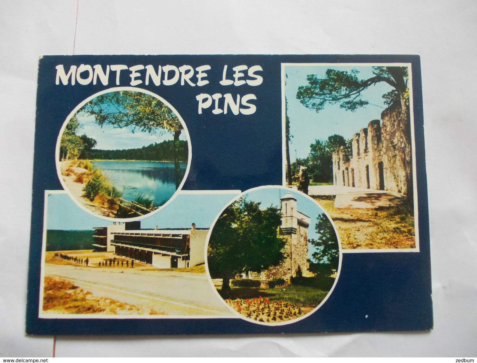 MONTENDRE Les Pins - Montendre