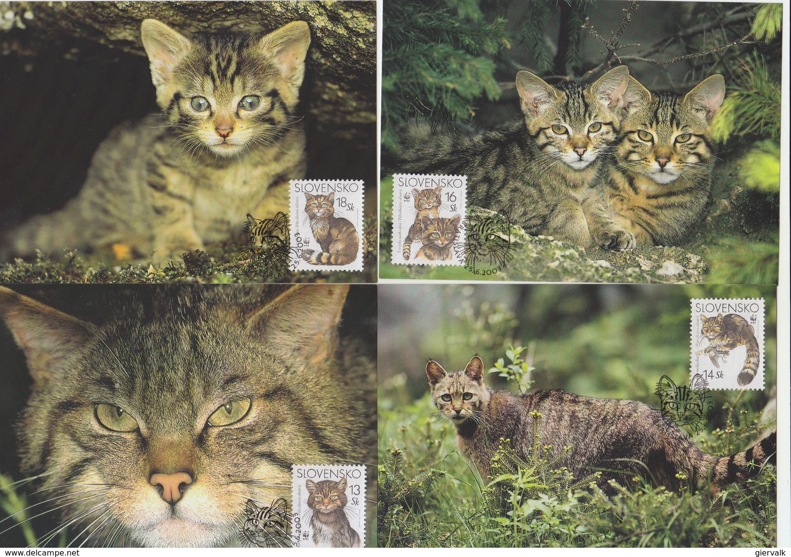 SLOVAKIA 2003 WWF Maxi Cards With Wild Cats LOCAL ISSUE - Andere & Zonder Classificatie