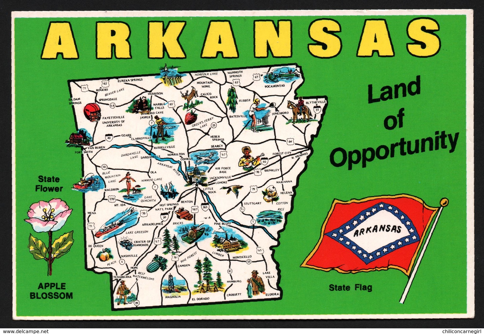 Carte Géographique Du Arkansas - Land Of Opportunity -  Fleurs - State Flower - Apple Blossom - ROYAL - MIKE ROBERTS - Autres & Non Classés