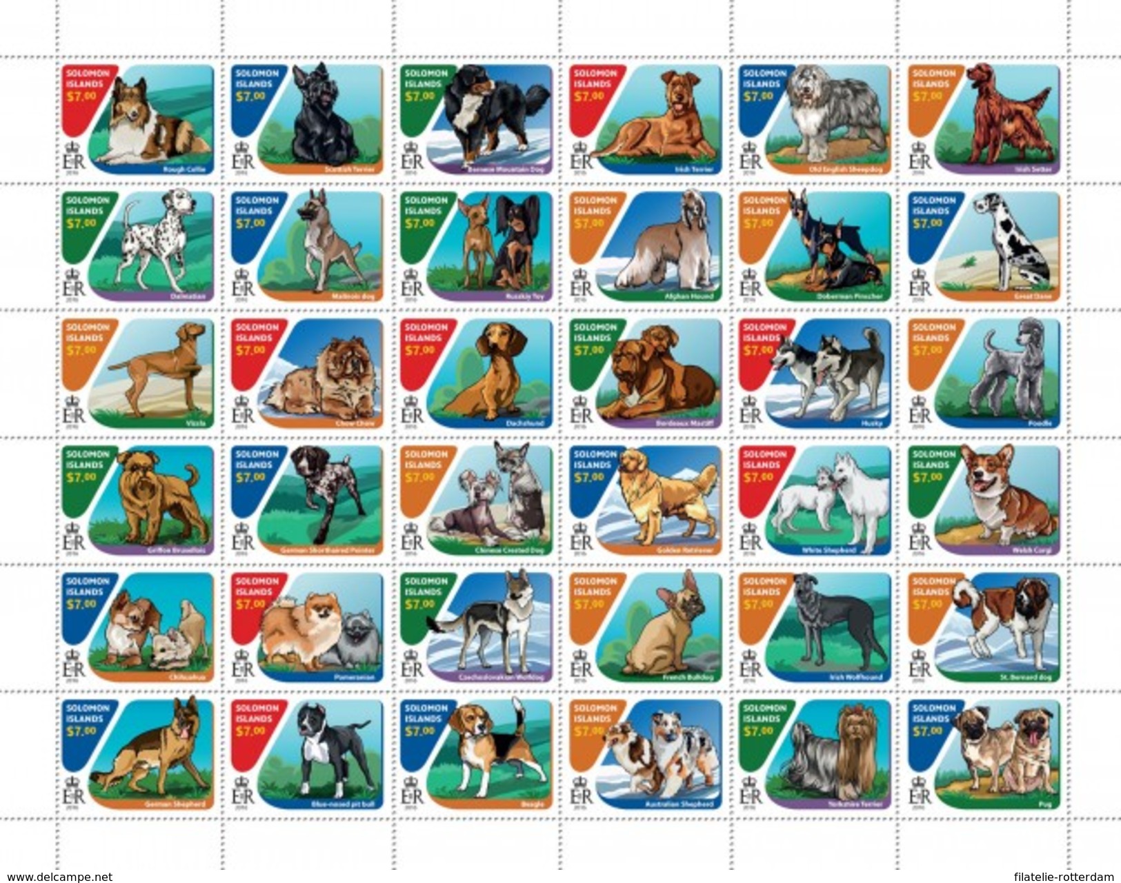 Solomon Eilanden - Postfris / MNH - Sheet Honden 2016 - Solomoneilanden (1978-...)