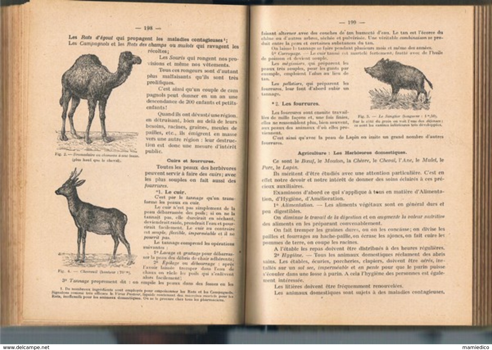 1930 Cours Supérieur " LES SCIENCES PAR L'OBSERVATION ET L'EXPERIENCE" 376 Pages. 6 Scans - 12-18 Ans