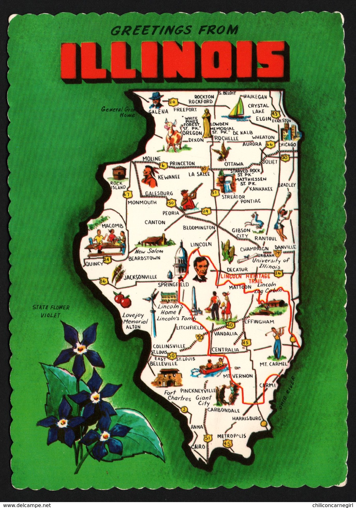 Carte Géographique De L'Illinois - Springfield - Chicago - Flower Butterfly Violet - Bird Cardinal - DEXTER PRESS - Autres & Non Classés