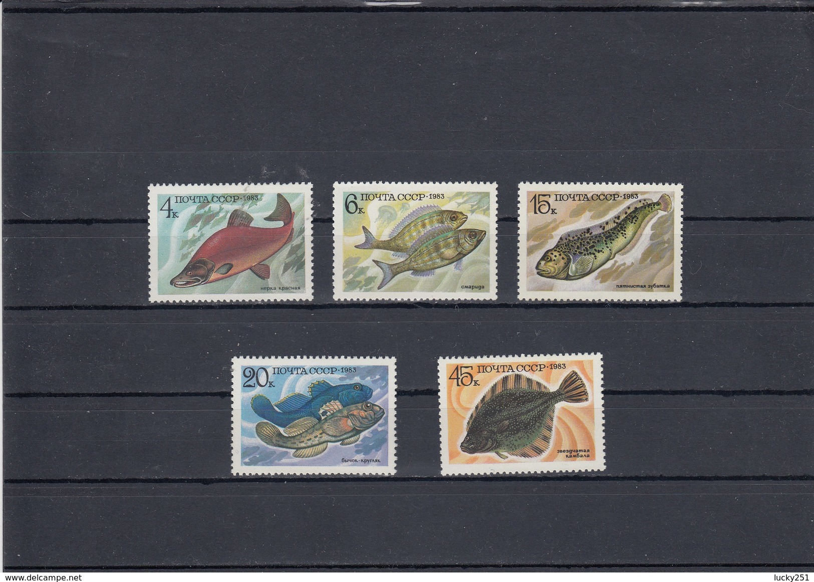 Russie - Poissons Divers - Neufs** - Année 1983 - Y.T. N° 5017/5021 - Neufs