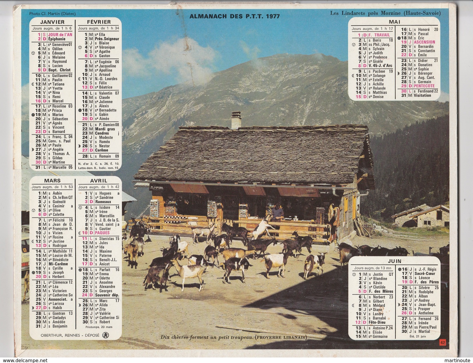 - CALENDRIER PTT Année 1977 - Chèvres - Formato Grande : 1971-80