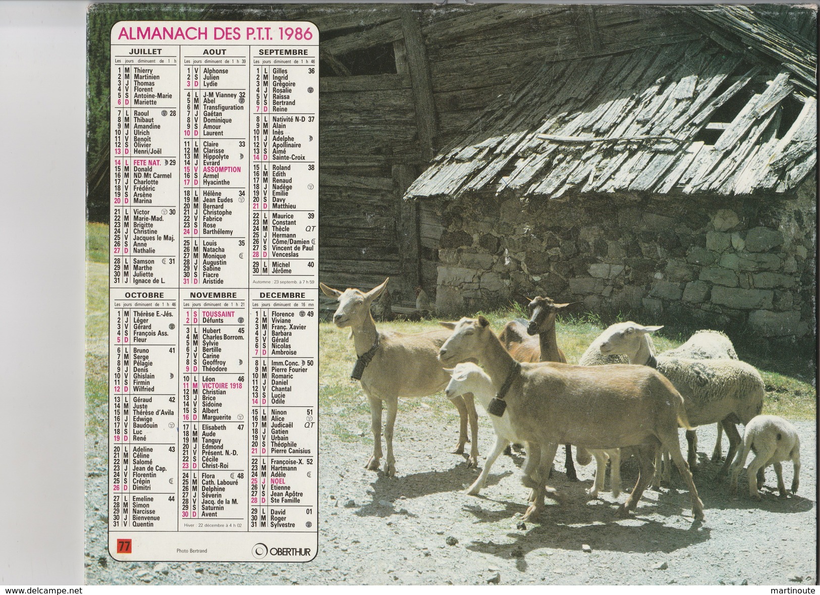 - CALENDRIER PTT Année 1986 - Chèvres - Grand Format : 1981-90