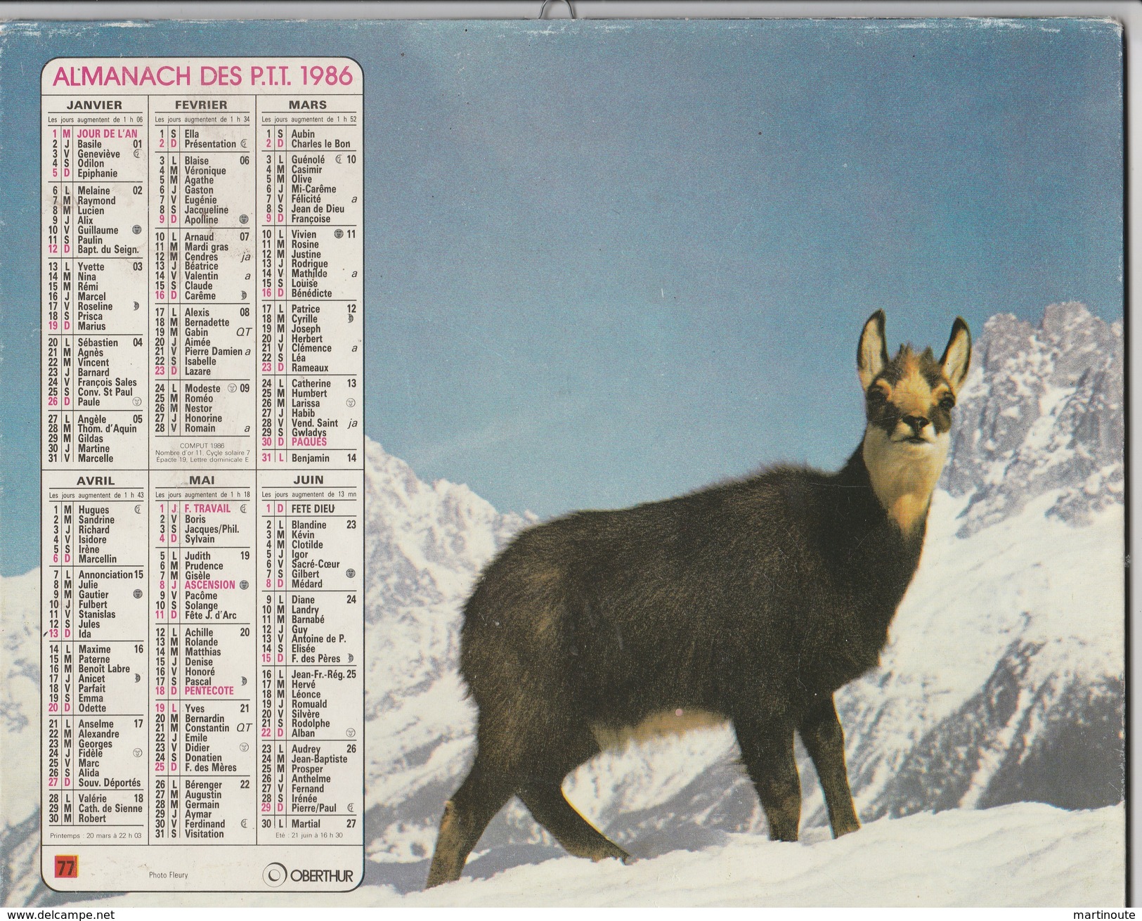 - CALENDRIER PTT Année 1986 - Chèvres - Grand Format : 1981-90