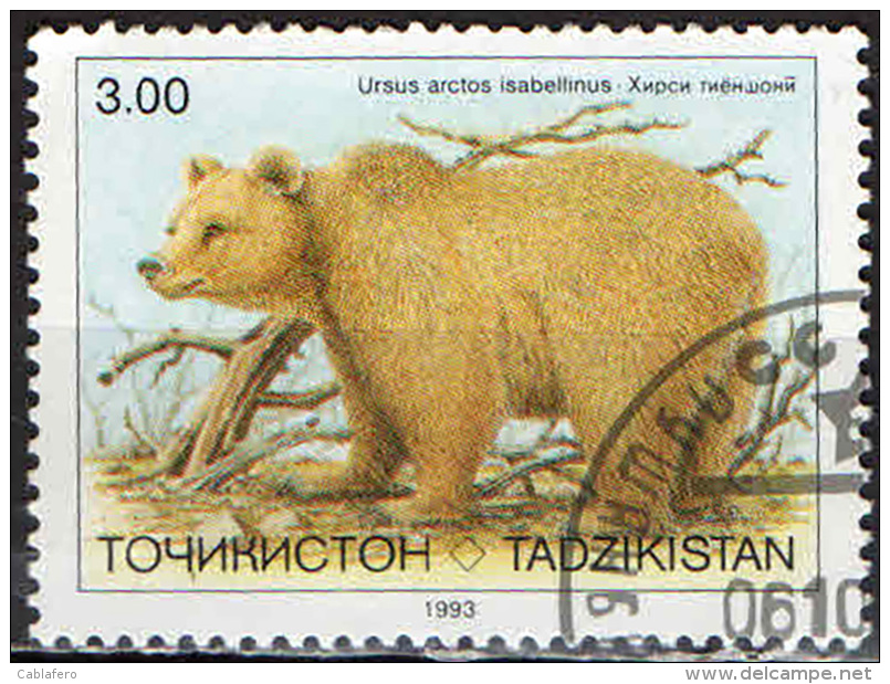 TAGIKISTAN - 1993 - ORSO - USATO - Tagikistan