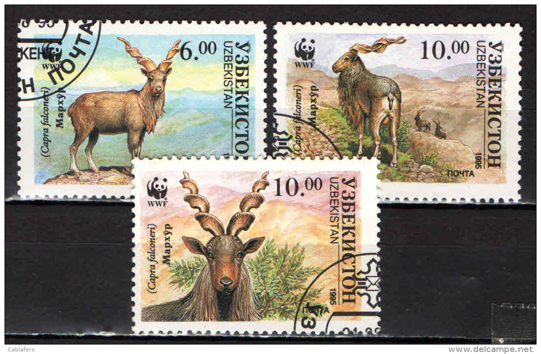 UZBEKISTAN - 1995 - CAPRA FALCONIERI - USATI - Uzbekistan