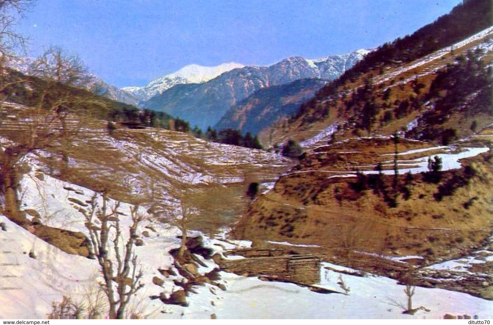 Nalter Valley Gilgit Pakistan - Formato Grande Viaggiata - E - Pakistan