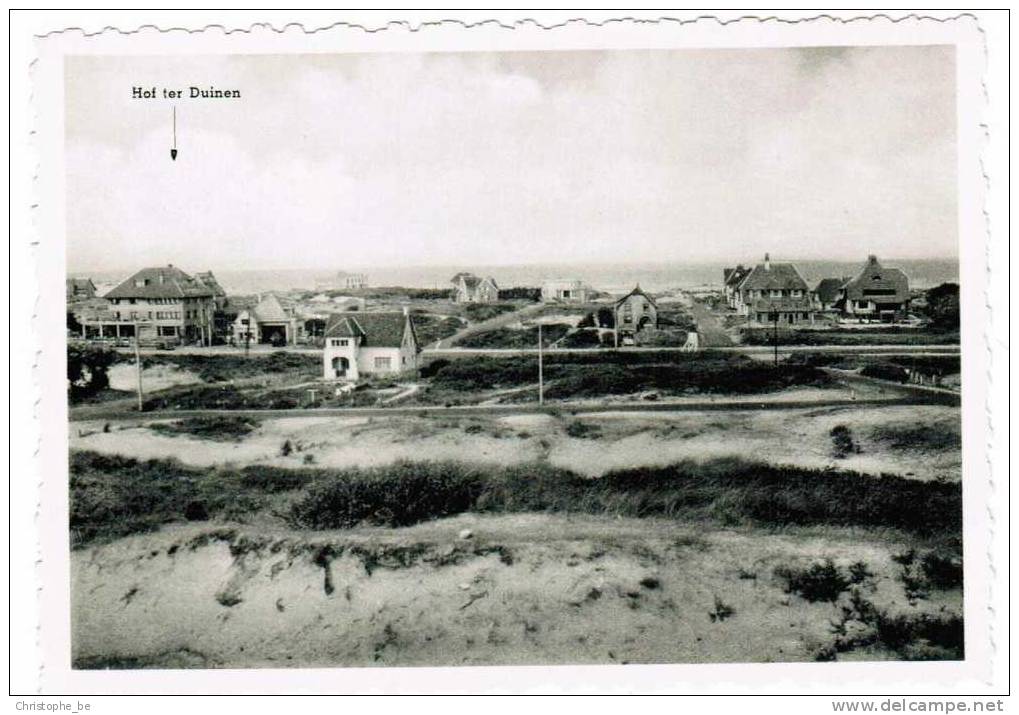 Oude Postkaart Oostduinkerke  Panorama Met Hotel Hof Ter Duinen (privékaart) (pk395) - Oostduinkerke