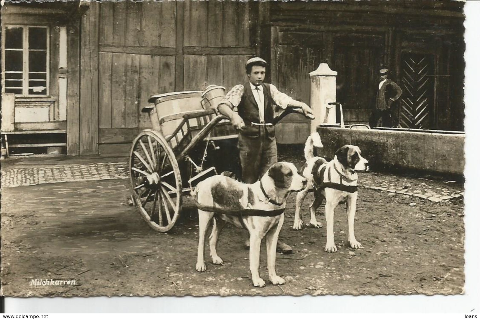 MILCHKARREN   ATTELAGE DE CHIEN  LAITIER  SUISSE - Spannen