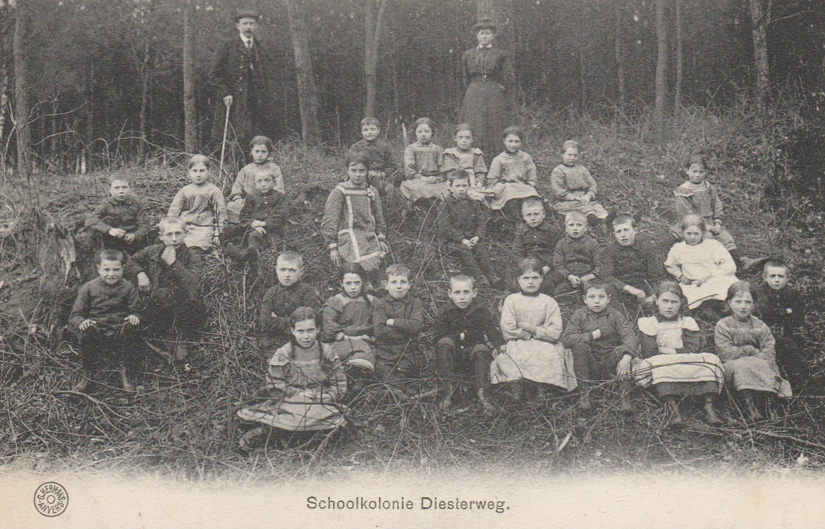 Heide -Calmpthout  ,Schoolkolonie ,Diestwerg - Kalmthout