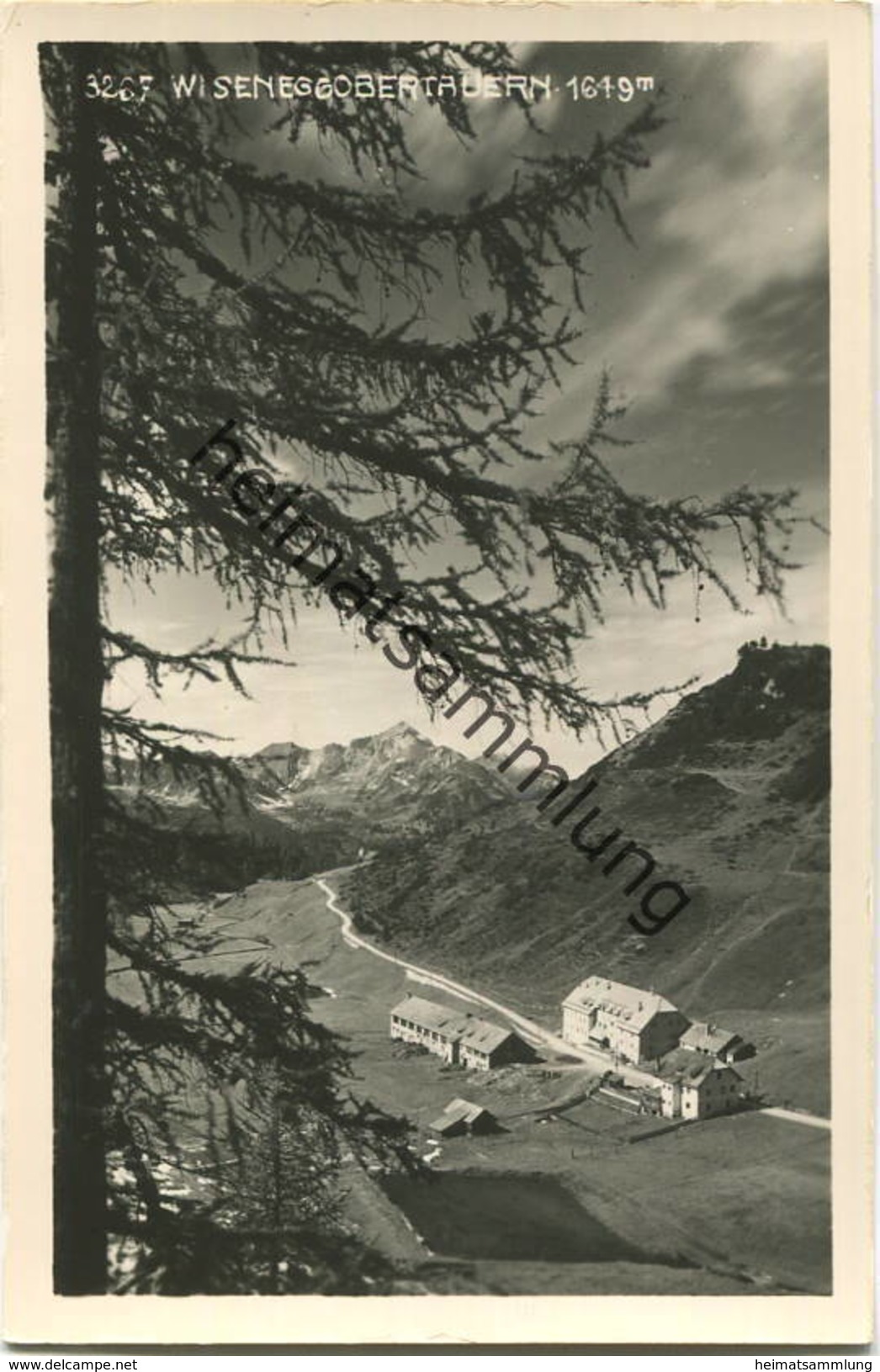 Wiesenegg - Foto-AK - Verlag H. Helff Obertauern 1953 (E21332) - Obertauern