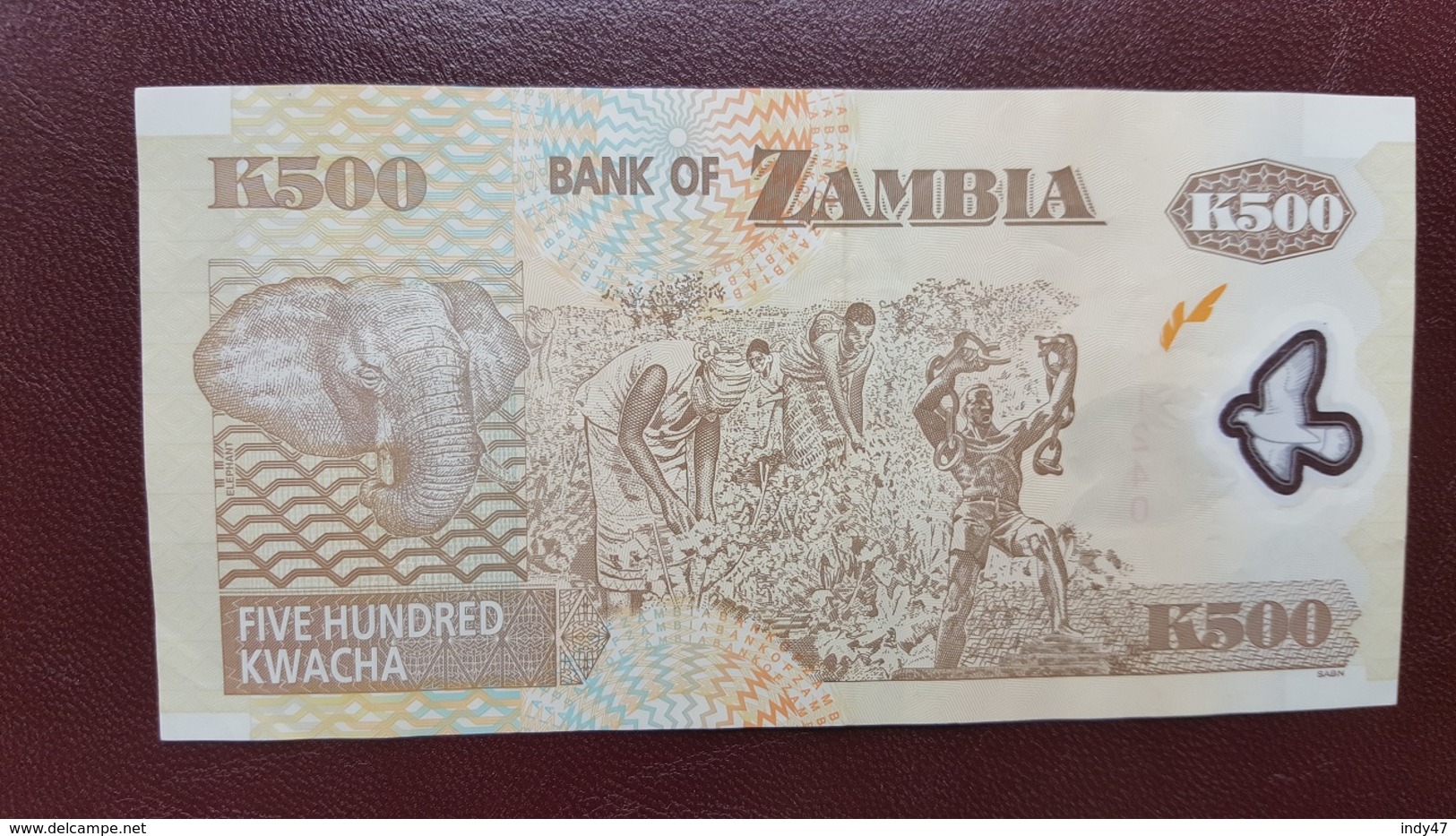 ZAMBIE : 500 Kwacha 2009 - Zambia