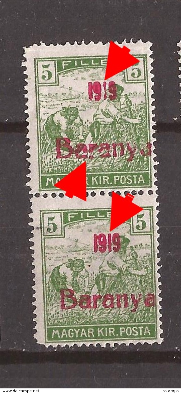 1919  6   BARANYA  UNGARN SERBIA JUGOSLAVIJA OVERPRINT  TYP II TYP III  NEVER HINGED - Baranya