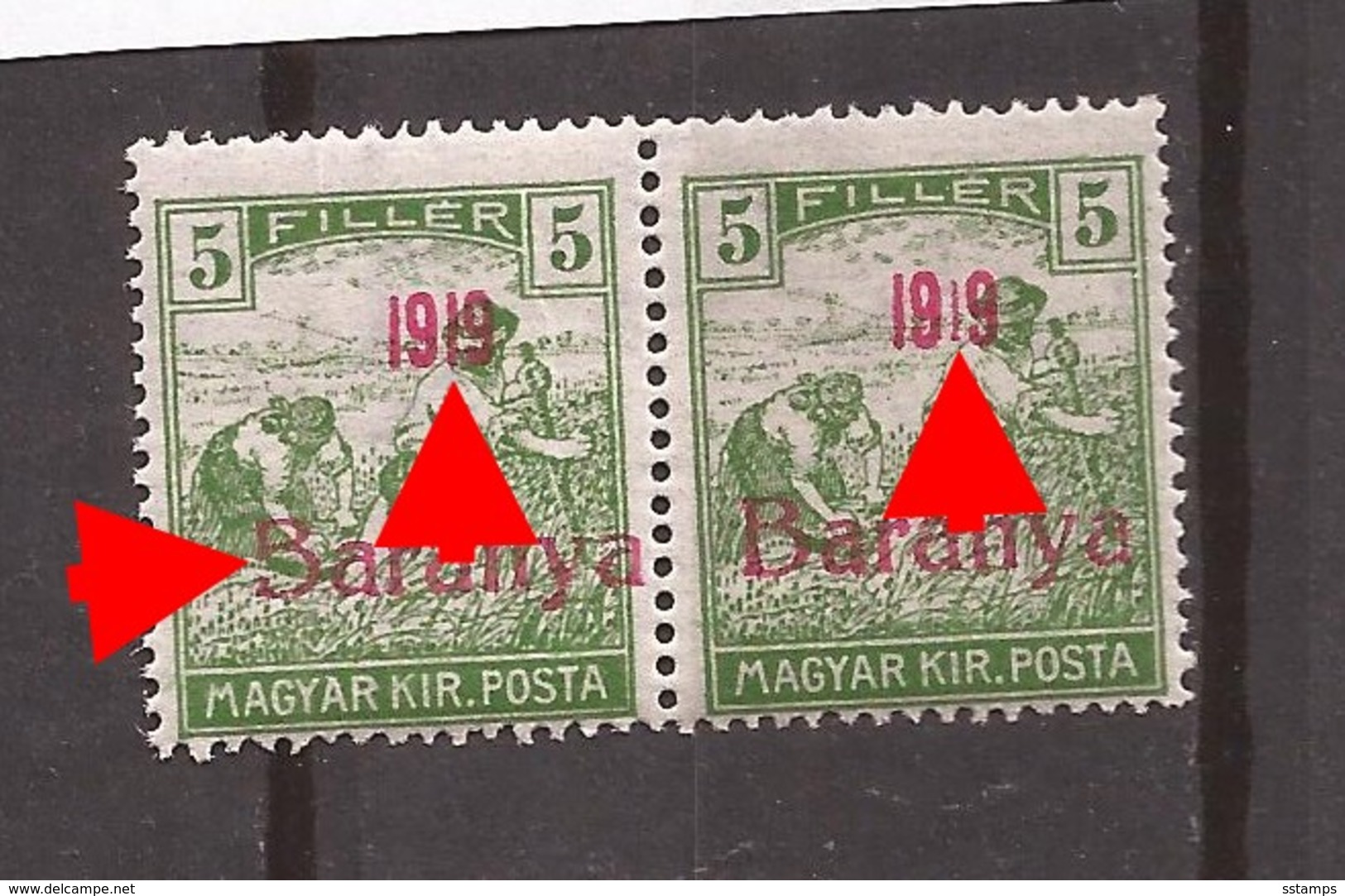 1919  6   BARANYA  UNGARN SERBIA JUGOSLAVIJA OVERPRINT  TYP II TYP IV  NEVER HINGED - Baranya