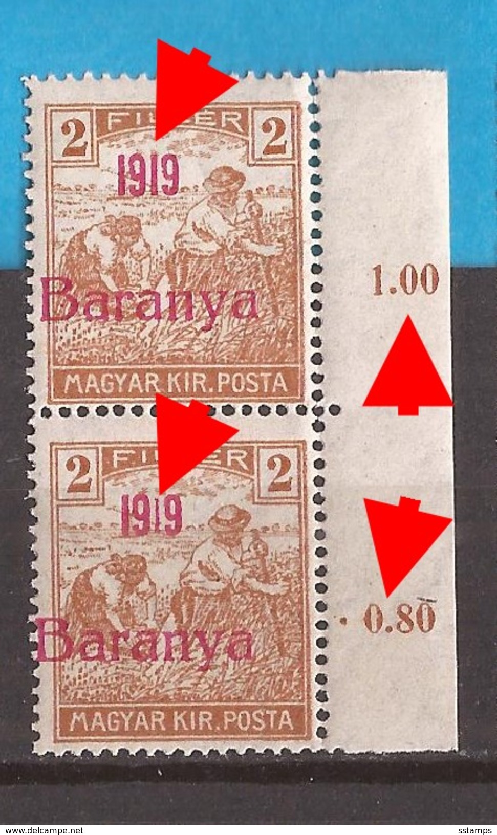 1919  5   BARANYA  UNGARN SERBIA JUGOSLAVIJA OVERPRINT  TYP II TYP IV  NEVER HINGED - Baranya