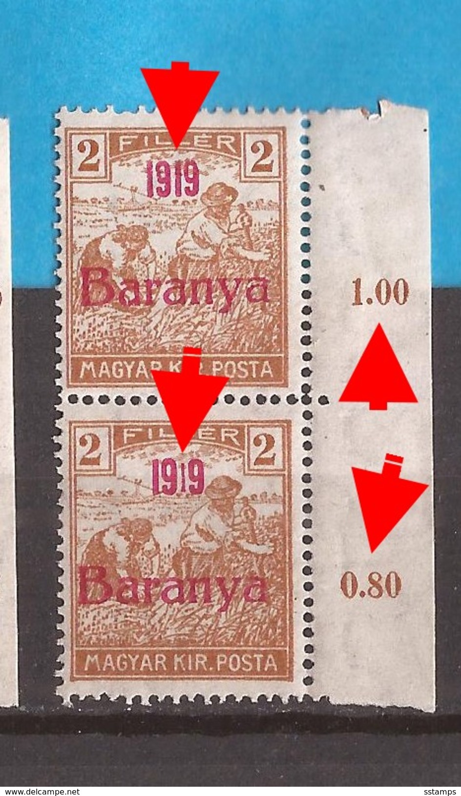 1919  5   BARANYA  UNGARN SERBIA JUGOSLAVIJA OVERPRINT  TYP II TYP IV  NEVER HINGED - Baranya