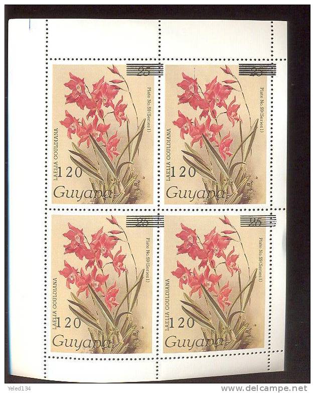 MNH GUYANA # 1579;SURCHARGED-120 ; FLOWERS-ORCHARDS ; SPECIAL  EDITION BLOCK OF 4 (59-I) - Guyana (1966-...)