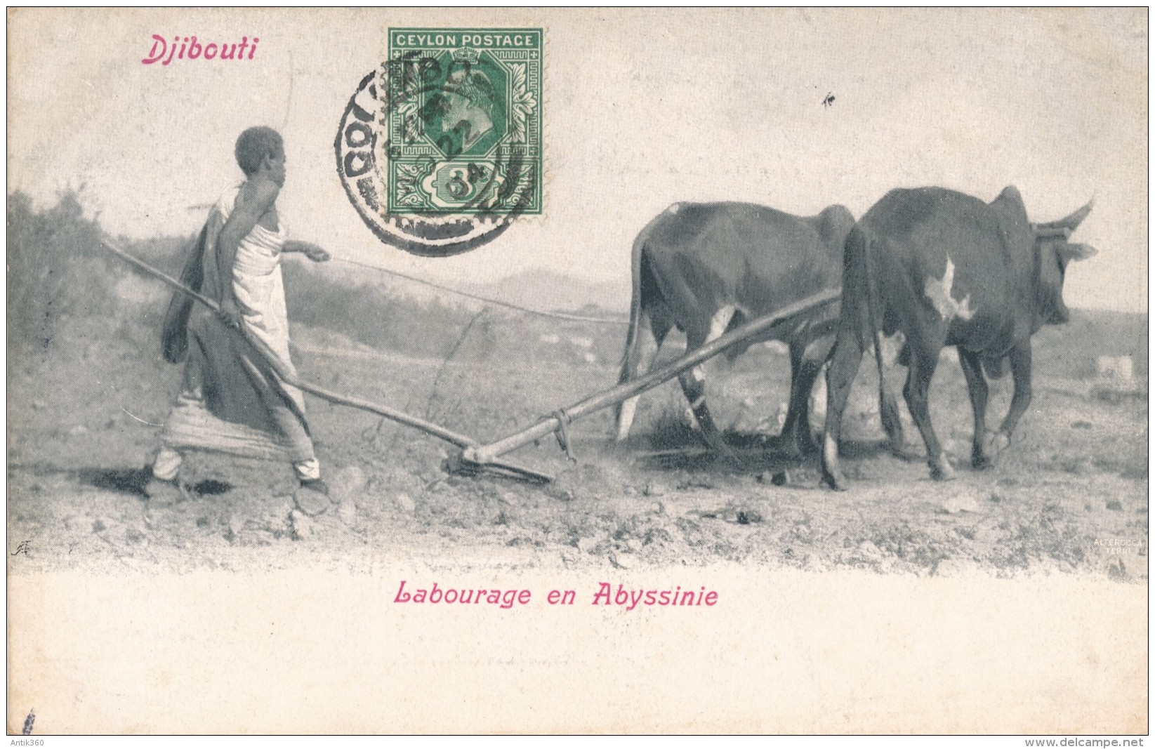 CPA DJIBOUTI Précurseur 1904 Labourage En Abyssinie + Cachet + Timbre Ceylan Sri Lanka - Djibouti