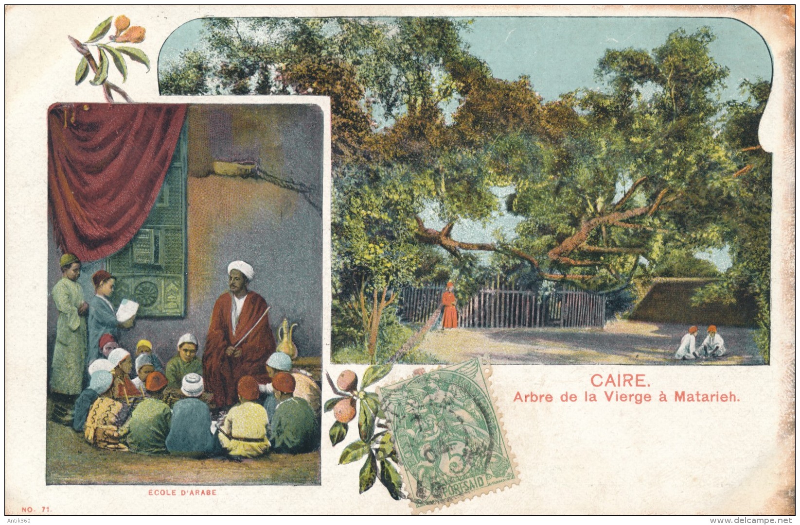 CPA EGYPTE Carte Précurseur 1904 LE CAIRE Arbre De La Vierge à Matarieh Et Ecole Arabe - Cairo