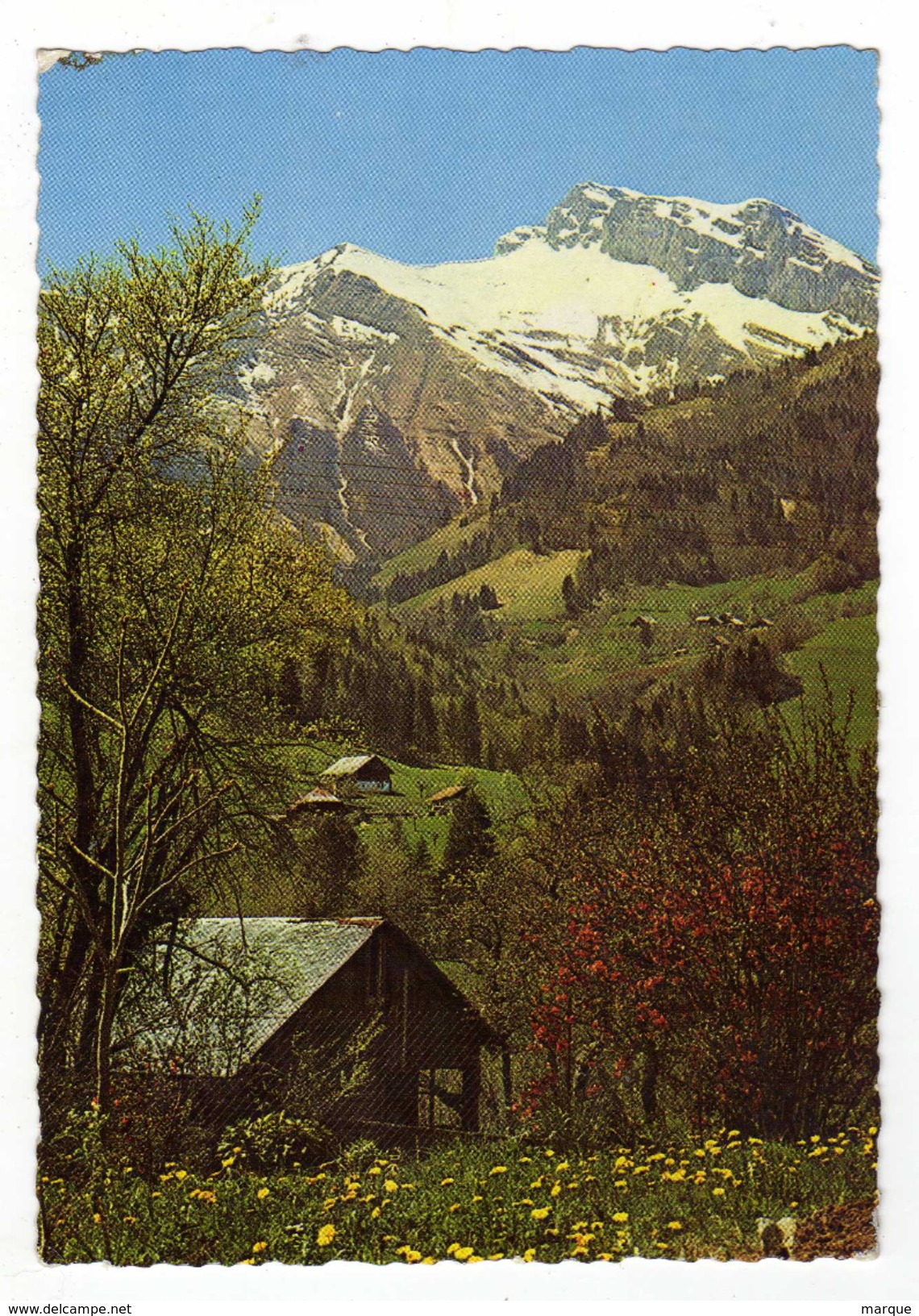 Cpm N° 381 Printemps Dans Les Alpes - Rhône-Alpes