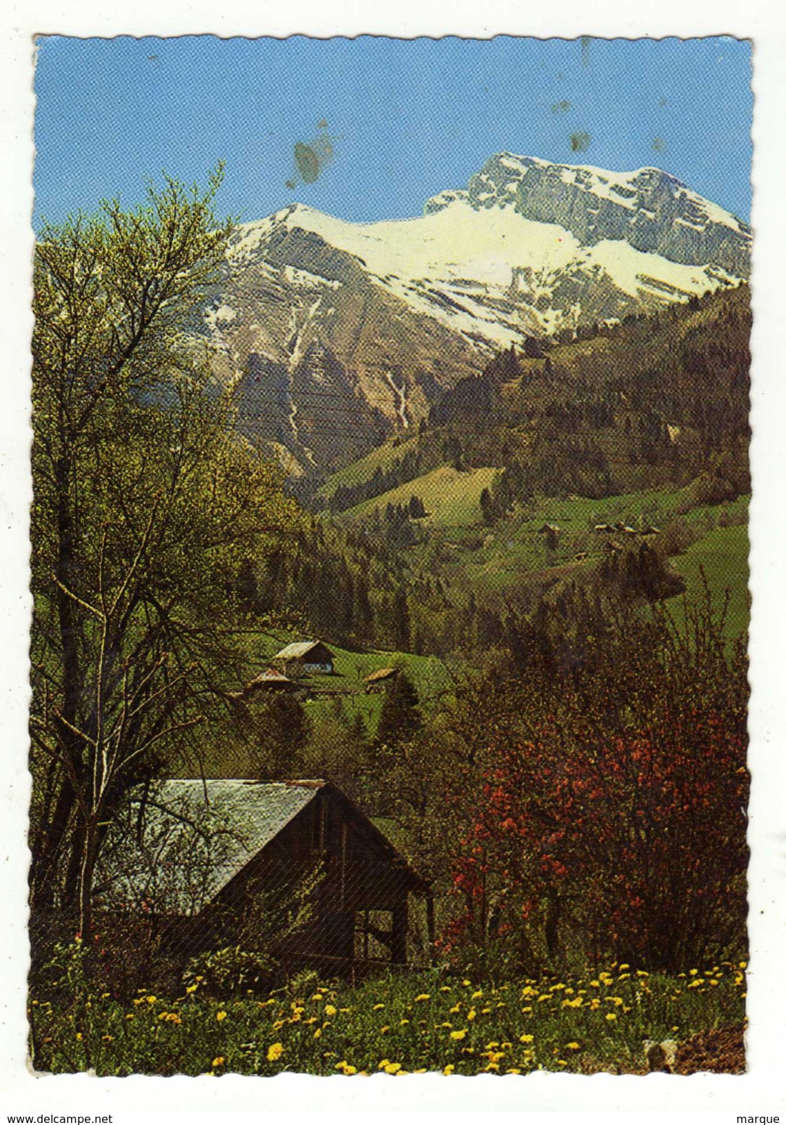 Cpm N° 381 Printemps Dans Les Alpes - Rhône-Alpes