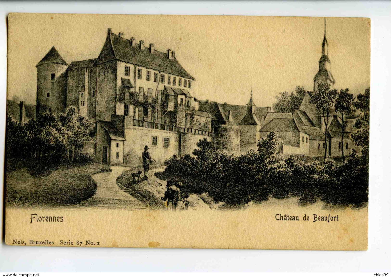 C 19290   -   Florennes - Château De Beaufort - Florennes