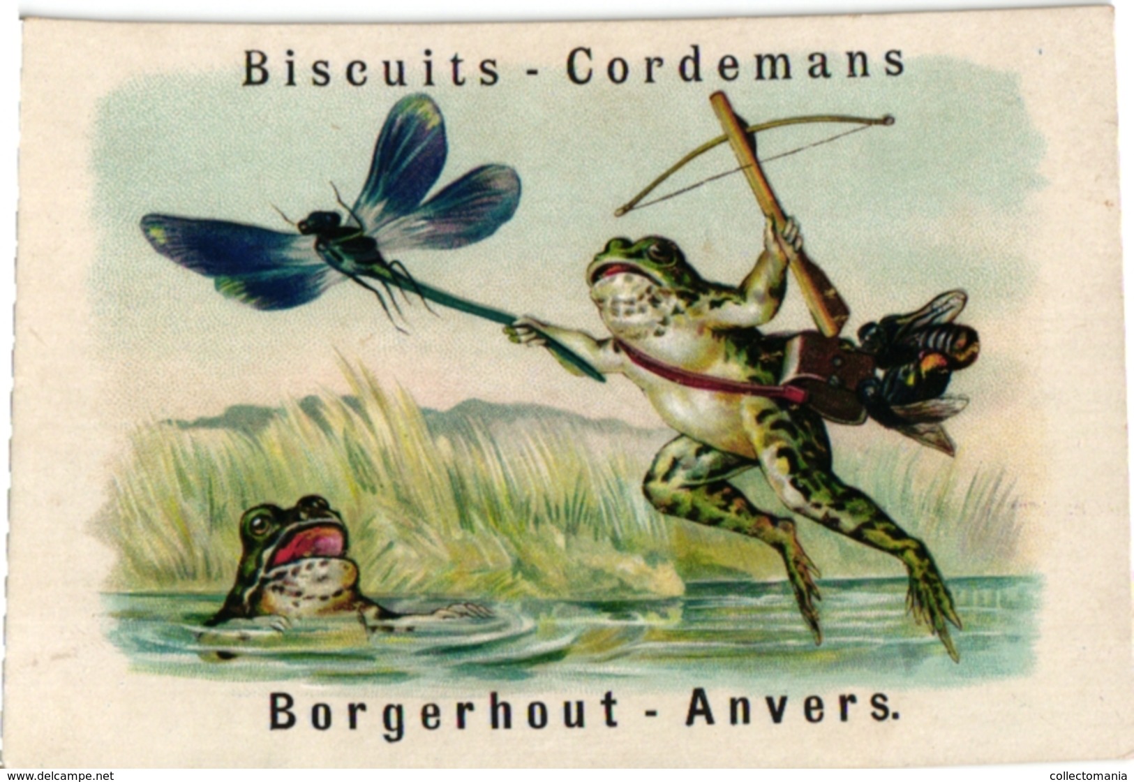 1 Card C1900 Pub Biscuits Cordemans Parein  Borgerhout Anvers  Kikkers  Dressed  Frogs  Grenouilles Libellulle Dragonfly - Other & Unclassified