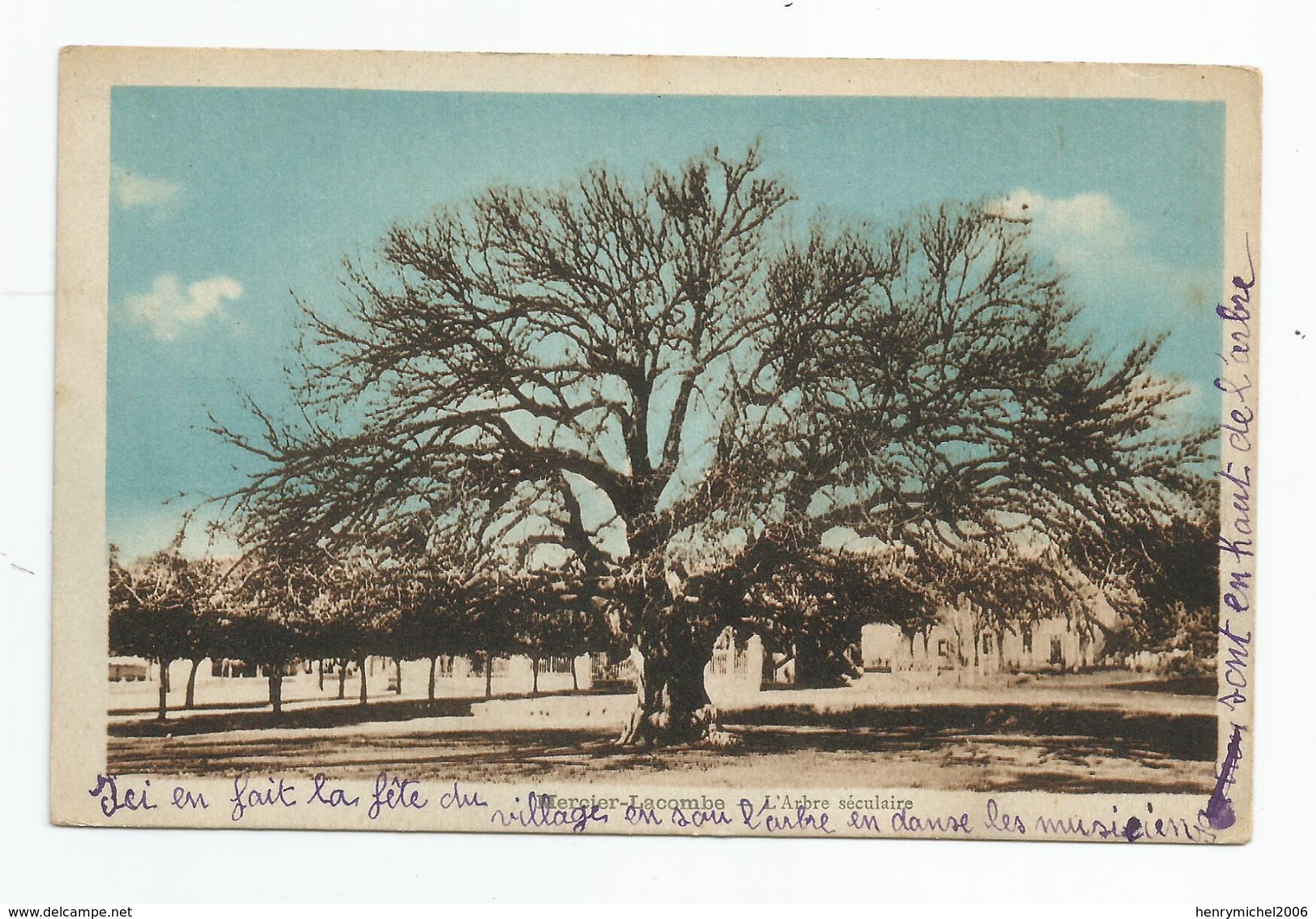 Algérie - Mercier Lacombe L''arbre Séculaire Ed Photo Albert Alger " Ici On Fait La Fete ..1948 - Autres & Non Classés
