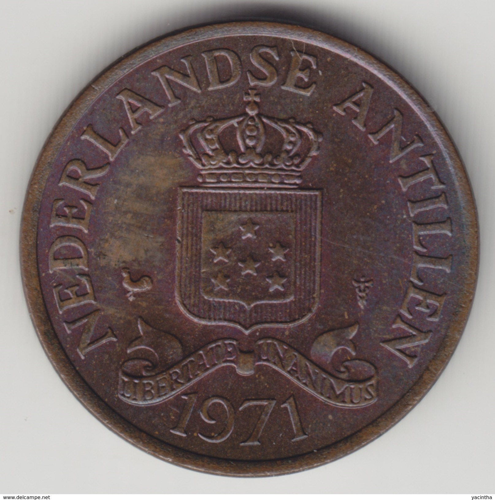 @Y@    Nederlandse Antillen   2 1/2  Cent  1971 ( 4573 ) - Niederländische Antillen