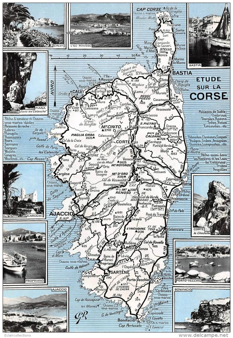 Corse     20     Carte Géographiue Du Département .  Edition Yvon    10x15     (voir Scan) - Andere & Zonder Classificatie