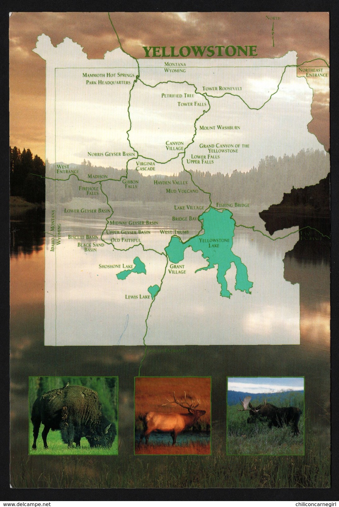 Carte Géographique De Yellowstone - National Park Wyoming - Bison - Cerf - Élan - THOMAS - Yellowstone