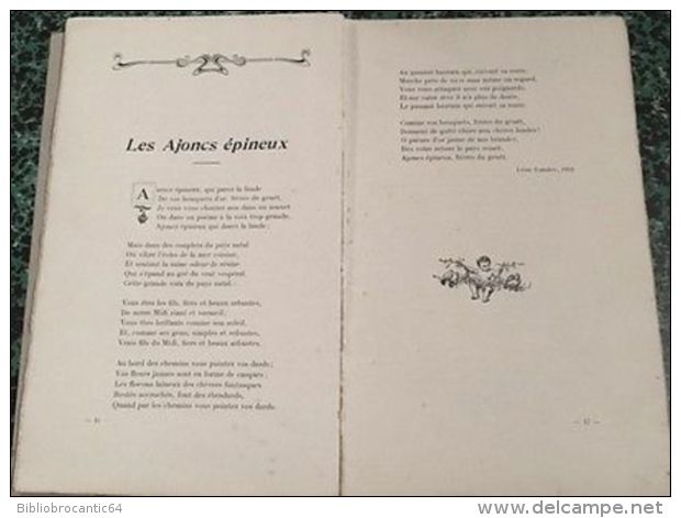 * CESAIRE DAUGE * Par Louis DESPINS  < E.O 1922 - Aquitaine