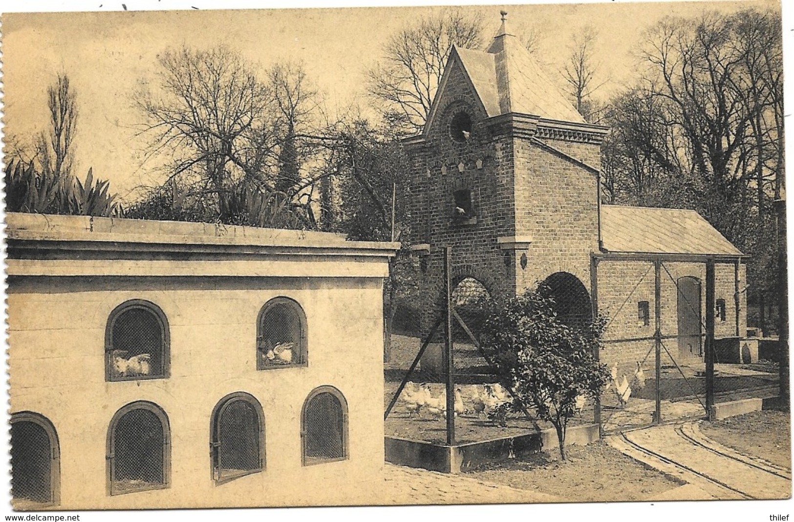 Ciney NA5: Ecole Ménagère Professionnelle Agricole Des Soeurs De La Providence. Clapier Et Poulailler 1925 - Ciney