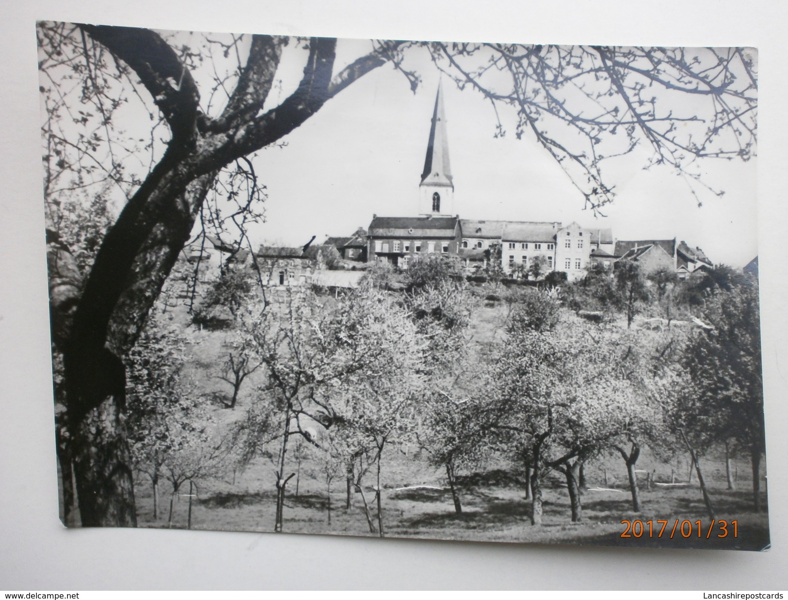 Postcard Borgloon Vergezicht Op De Kerk En Dekenij Real Photograph My Ref B2227 - Borgloon