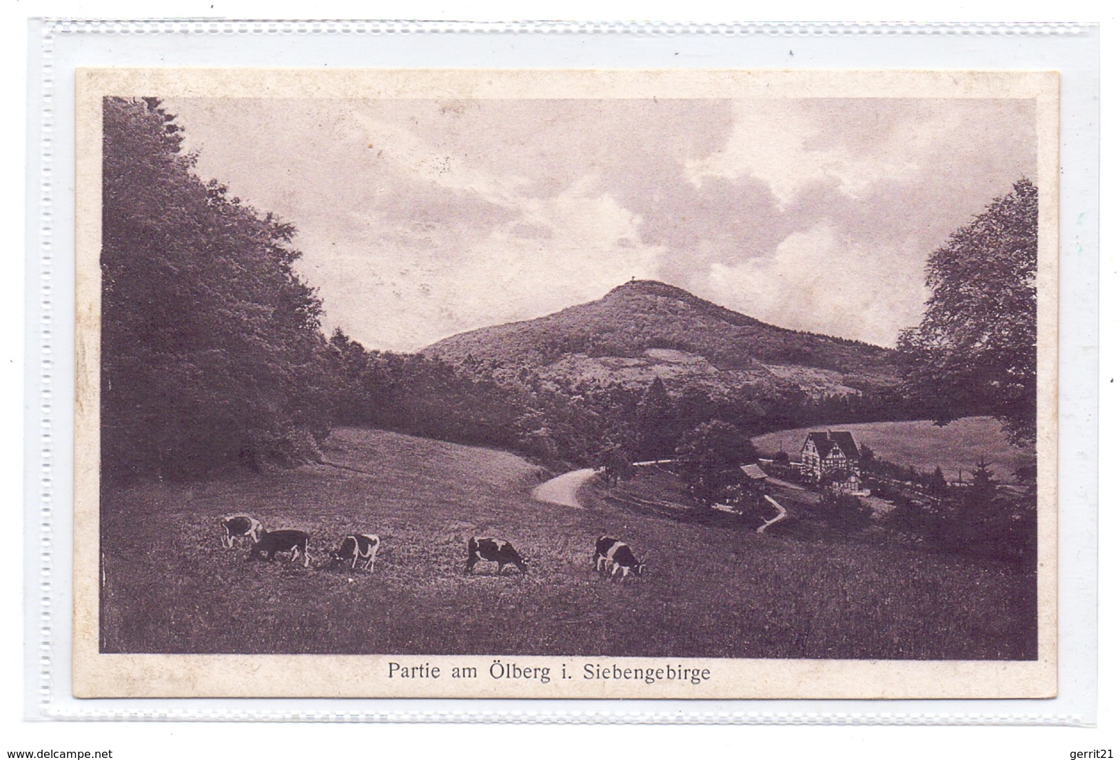 5330 KÖNIGSWINTER, Blick Auf Den Ölberg - Koenigswinter