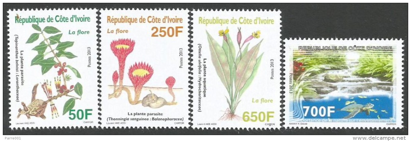 Côte D’Ivoire 2013 Flora Environment Thonningia Tapinanthus Parasitic Plant Ottelia Ulvifolia Acuatic Plant Set Mint MNH - Costa De Marfil (1960-...)