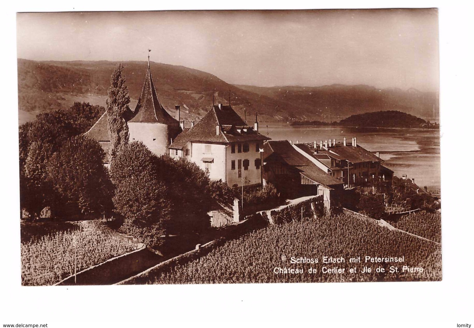 Suisse Schloss Erlach Mit Petersinsel Chateau De Cerlier Et Ile De St Pierre Timbre + Cachet Erlach 1923 - Cerlier