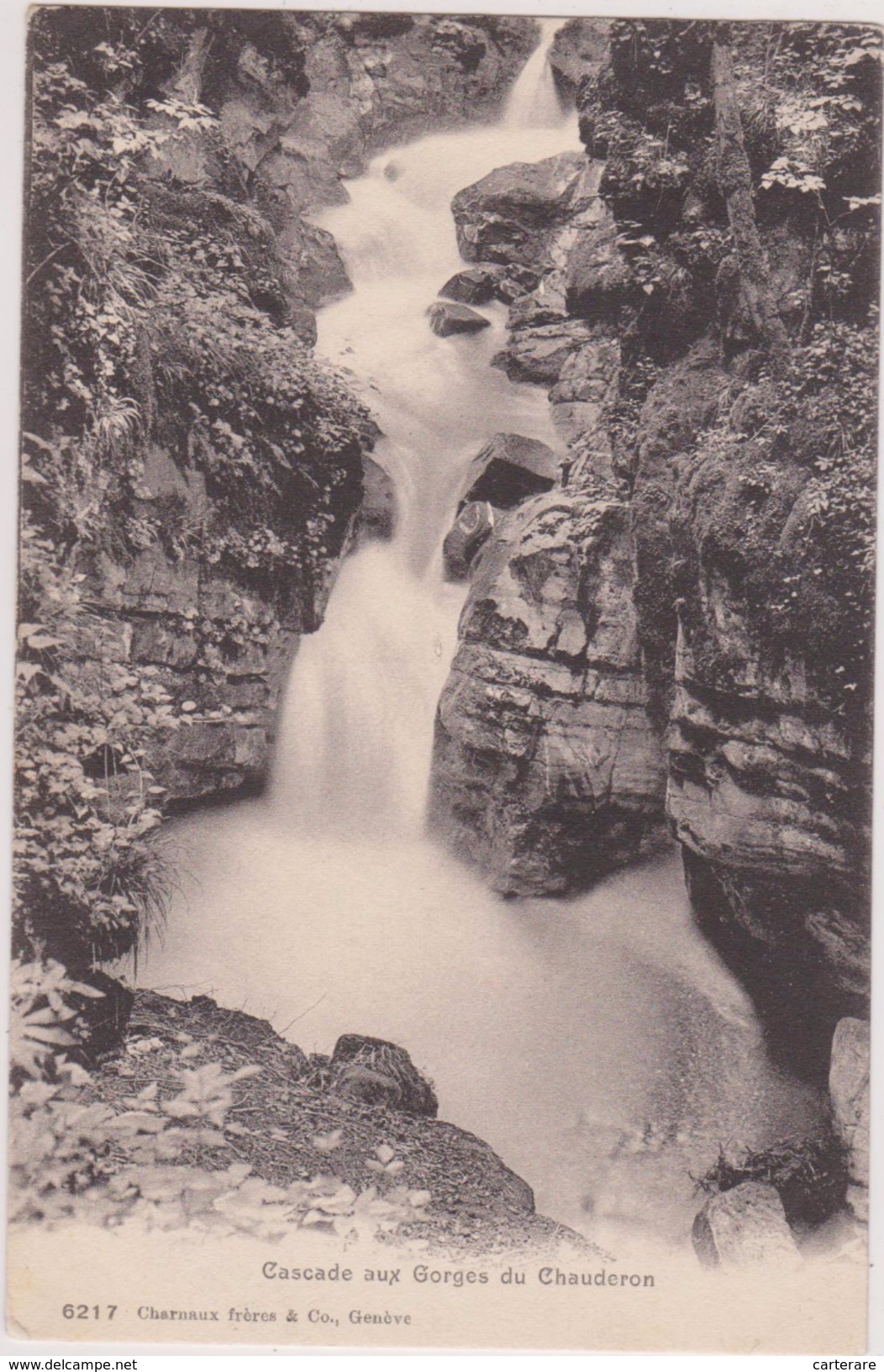 SUISSE,SWITZERLAND,SVIZZERA,SCHWEIZ,HELVETIA,SWISS ,VAUD,MONTREUX,CASCADE GORGES DU CHAUDERON - Montreux