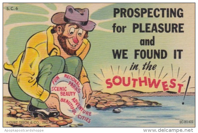 Humour Prospecting For Pleasure &amp; We Found It In The Southwest 1955 Curteich - Humour