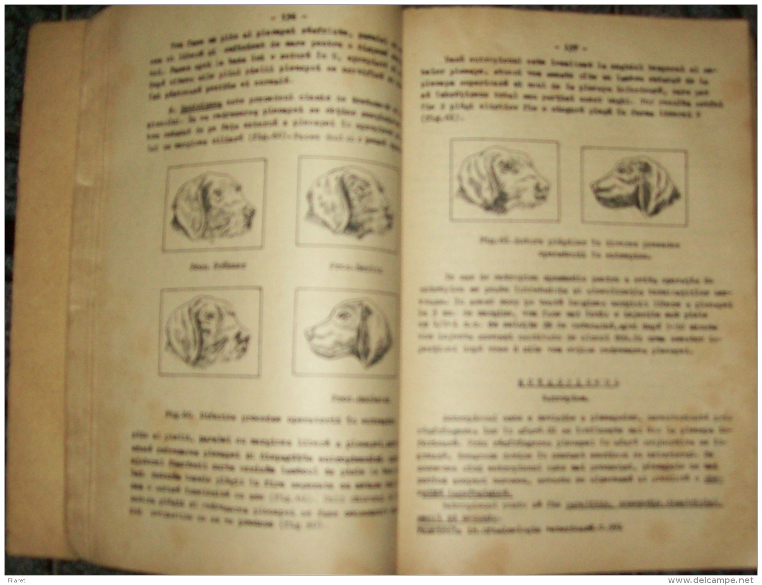 ROMANIA ,VET/VETERINARY  LESSONS-1970/1973 PERIOD - Práctico