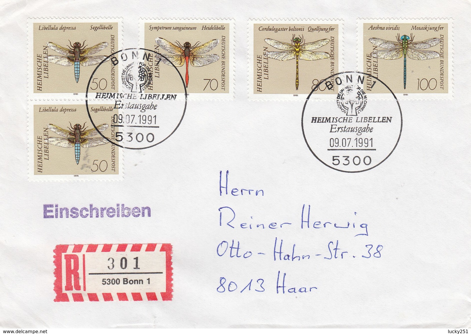 Allemagne Fédérale - Année 1991 - Lettre/Libellules - Briefe U. Dokumente