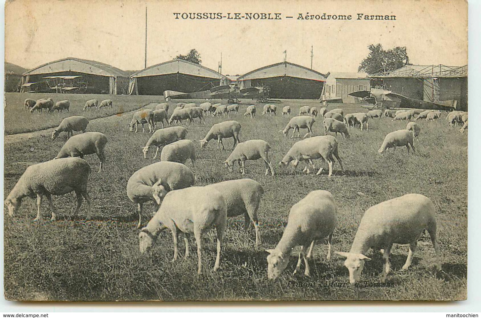 DEP 78 TOUSSUS LE NOBLE AERODROME FARMAN TROUPEAU DE MOUTON - Toussus Le Noble