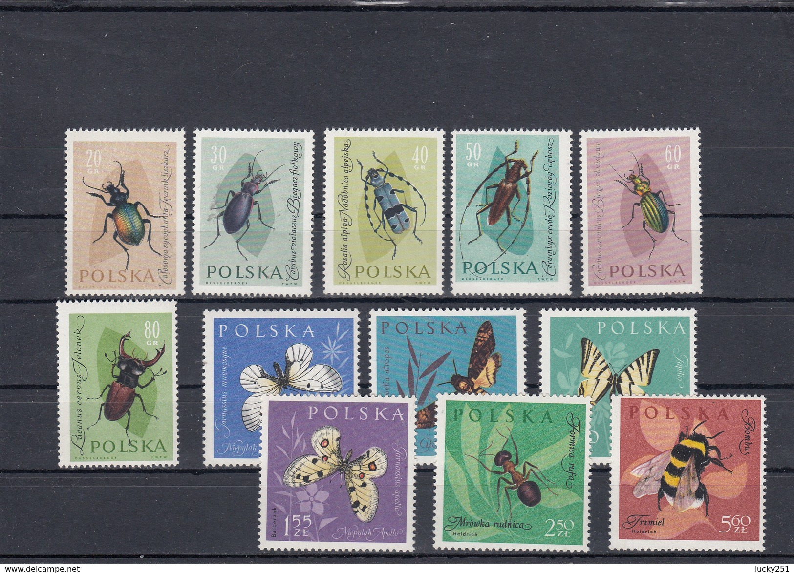 Pologne - Neufs** - Année 1962 - Insectes Divers - YT 1140/1151 - Unused Stamps