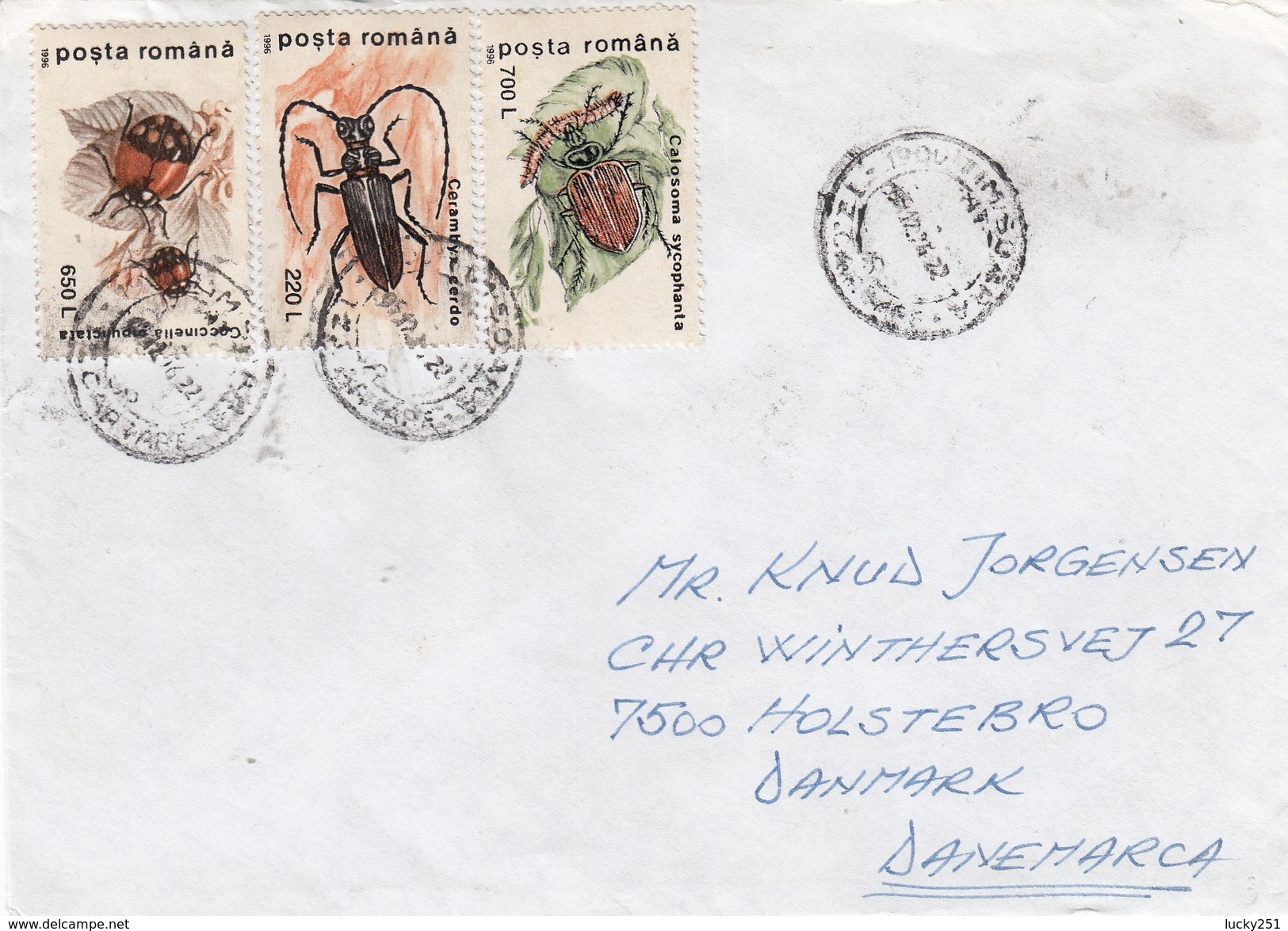 Roumanie - Année 1996 - Lettre/Insectes Divers - Storia Postale