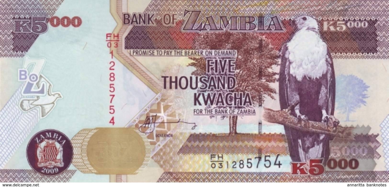 ZAMBIE 5000 KWACHA 2009 P-45e NEUF [ZM147e] - Zambia