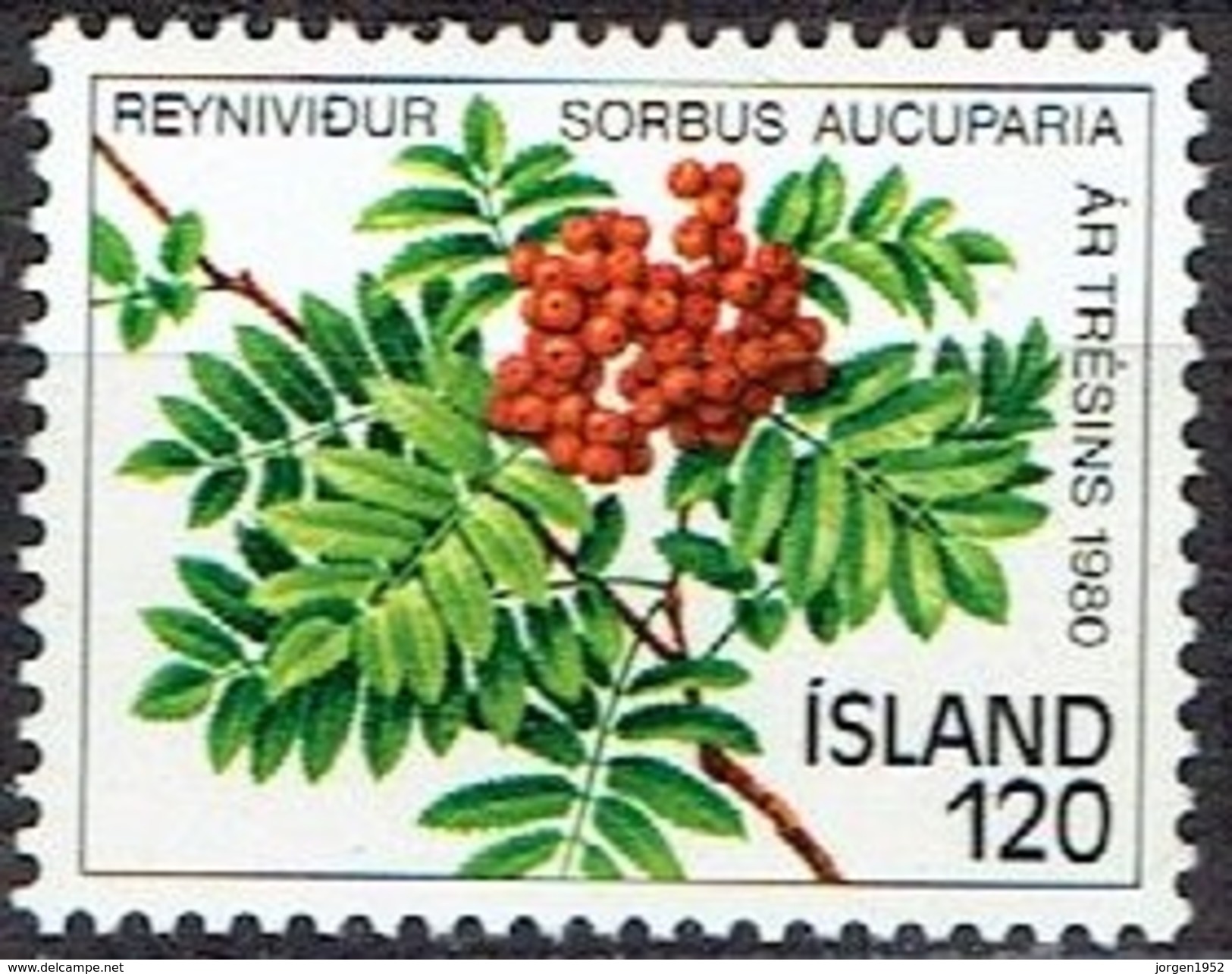ICELAND #  FROM 1980  STAMPWORLD 555** - Nuevos