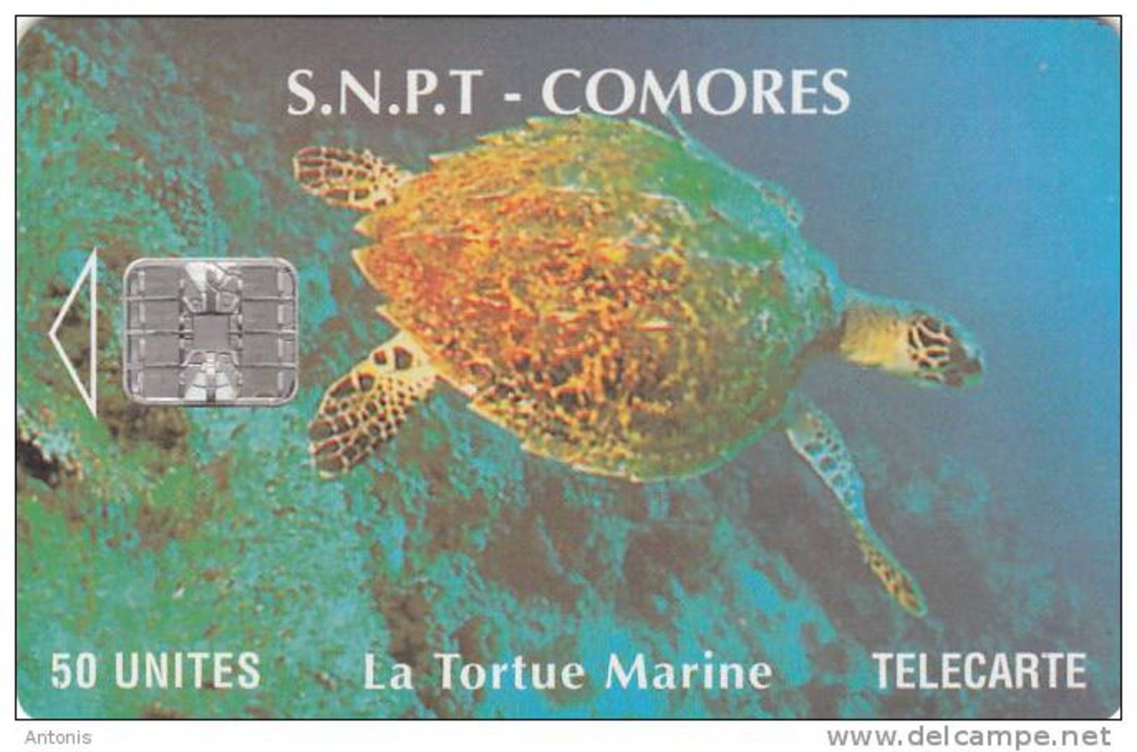 COMOROS ISL. - Marine Turtle(no CN), Used - Comoren